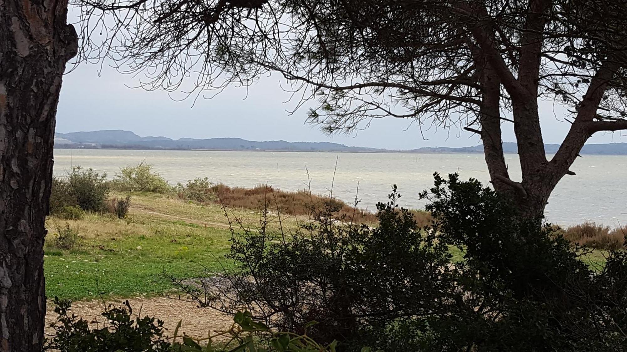 Gite Dans Ancienne Bergerie En Pleine Garrigue Fraisse-des-Corbieres Экстерьер фото