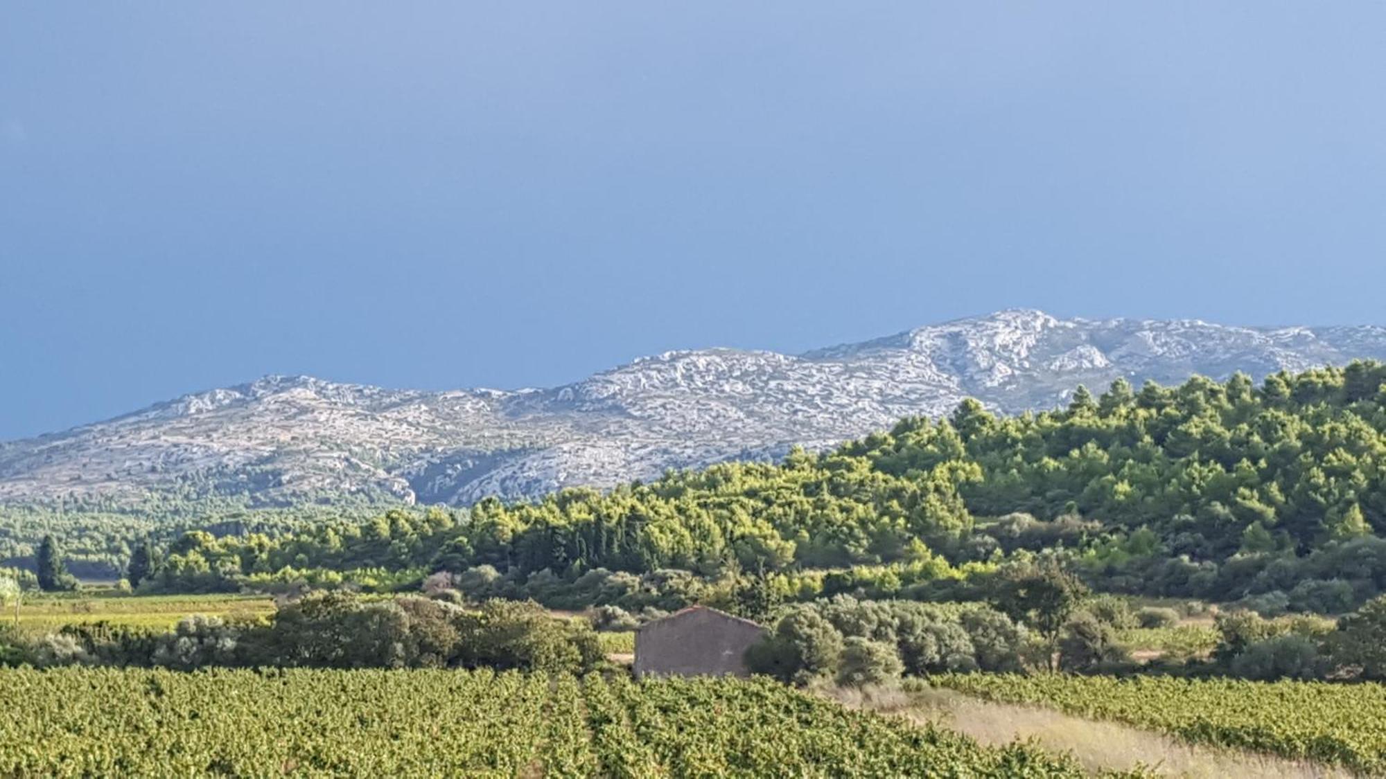 Gite Dans Ancienne Bergerie En Pleine Garrigue Fraisse-des-Corbieres Экстерьер фото