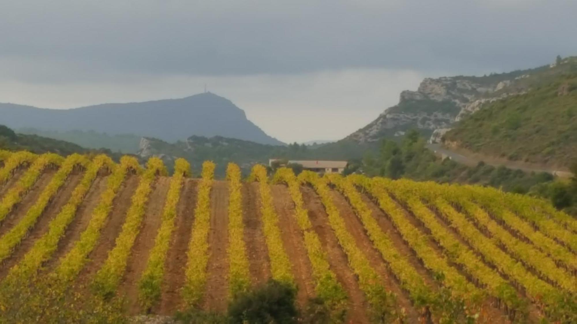 Gite Dans Ancienne Bergerie En Pleine Garrigue Fraisse-des-Corbieres Экстерьер фото